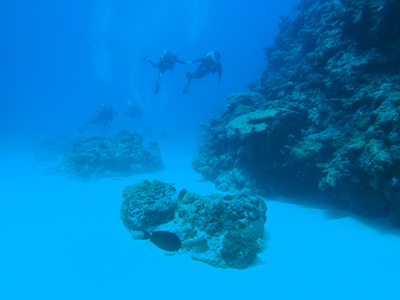 La plongée à Rodrigues avec Jacky Diving