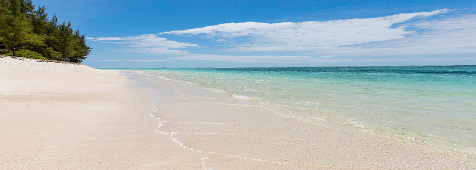 C Mauritius Palmar