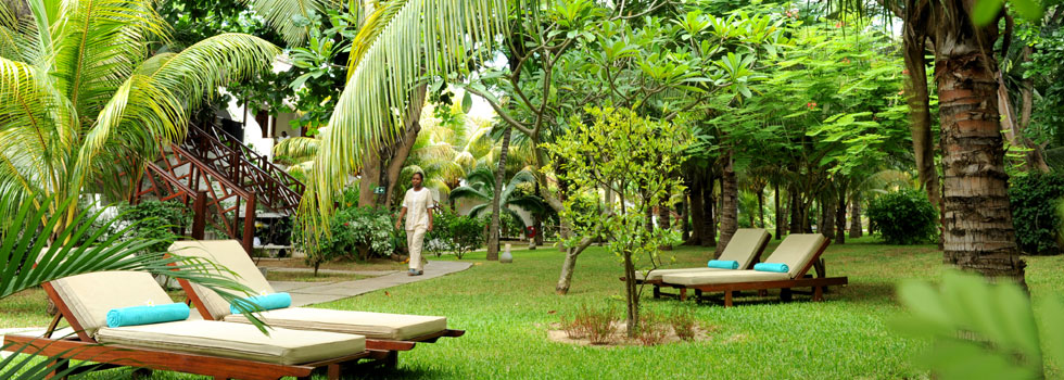 Coin de Mire Attitude à l'île Maurice