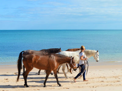 Balade à cheval Prexhe