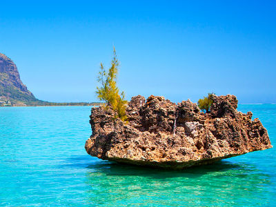 Crystal Rock 