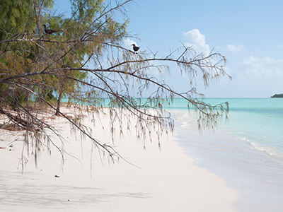 île aux Cocos, la plus exotique