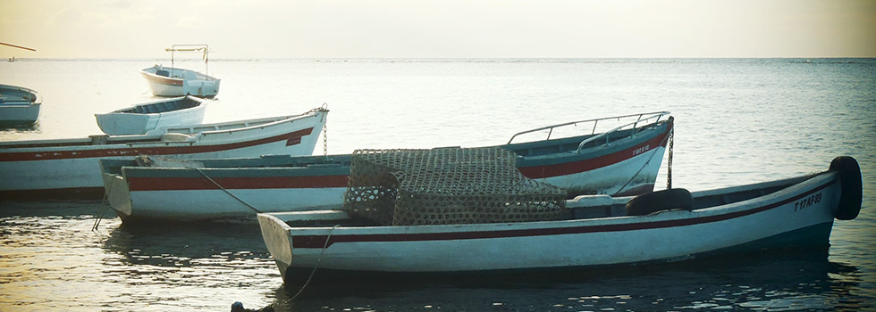 île Maurice : Les Cocotiers