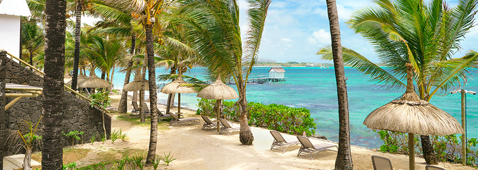 Piscine du Tropical Attitude