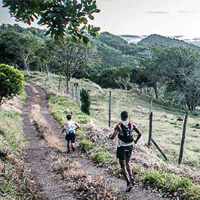 dodo trail 2015