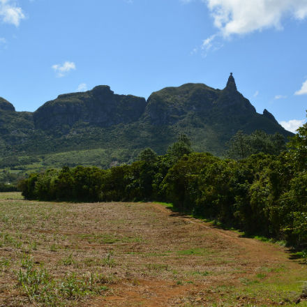 Top départ, la sixième édition du Moka Trail a lieu ce samedi 