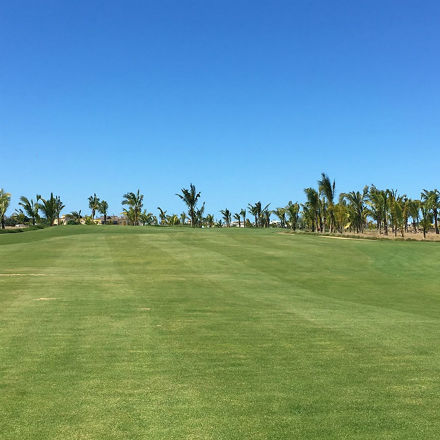 Première édition du Beachcomber Mauritius Ladies Open 