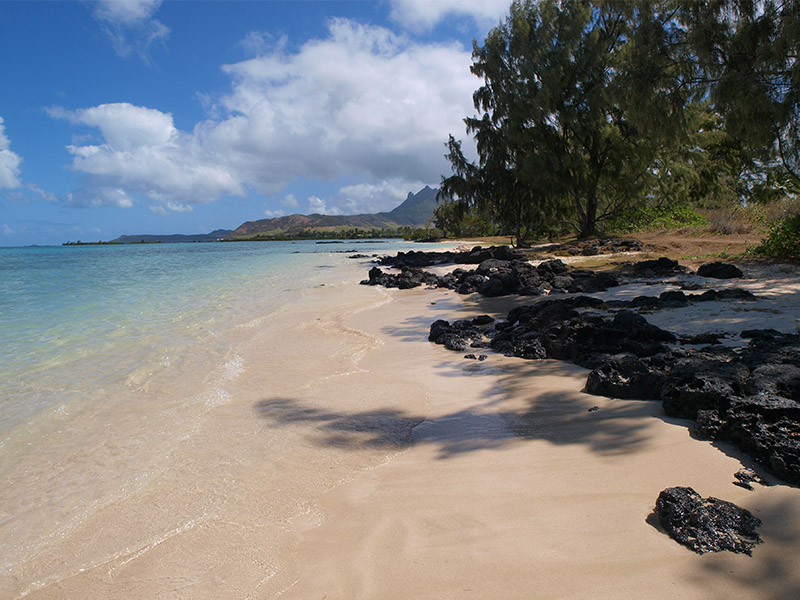 Découvrez l'île aux Cerfs