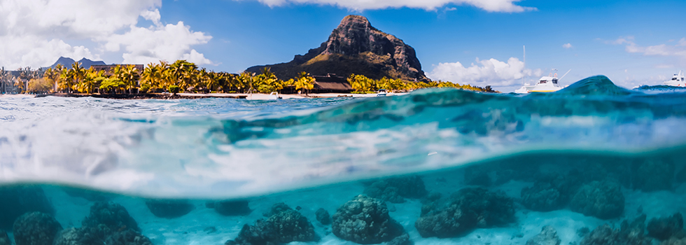 Les plus beaux spots de snorkeling de l'île Maurice