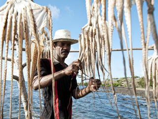 Découvrir l'île Rodrigues