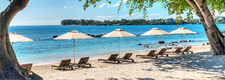 The Westin Turtle Bay Resort & Spa